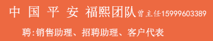 中國平安福熙團(tuán)隊 